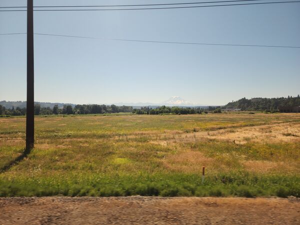 Mt. Rainier, viewed from an Amtrak train south of Seattle. The mountain appears fairly small in the photo, and the landscape is blurred as the train is moving fairly fast.